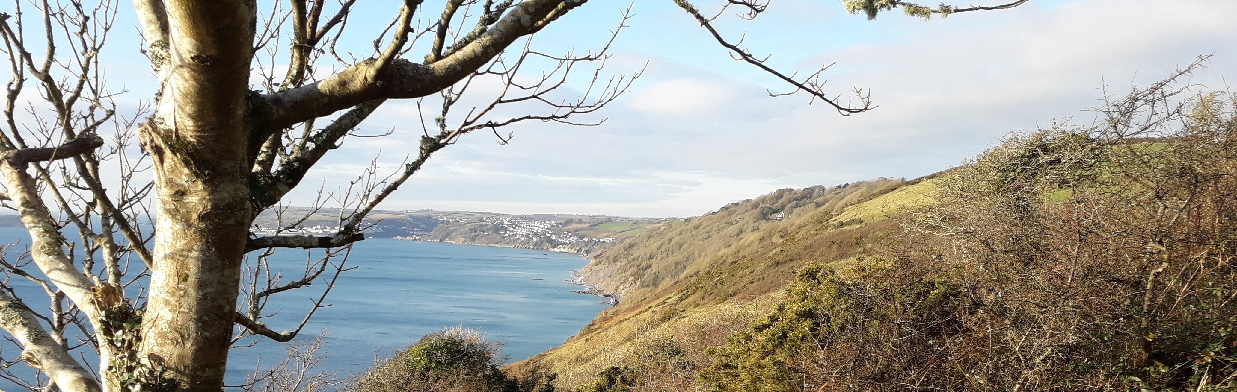 Looe Island from the Coastal path that runs through the Parish